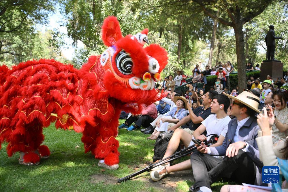 梅高娱乐